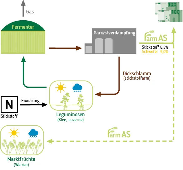 Schaubild Mineraldüngerproduktion aus Gärrest
