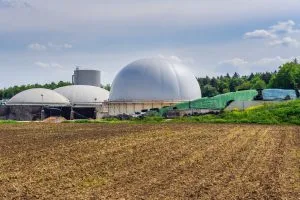 Mehrere Fermenterkuppeln einer Biogasanlage neben einem Acker