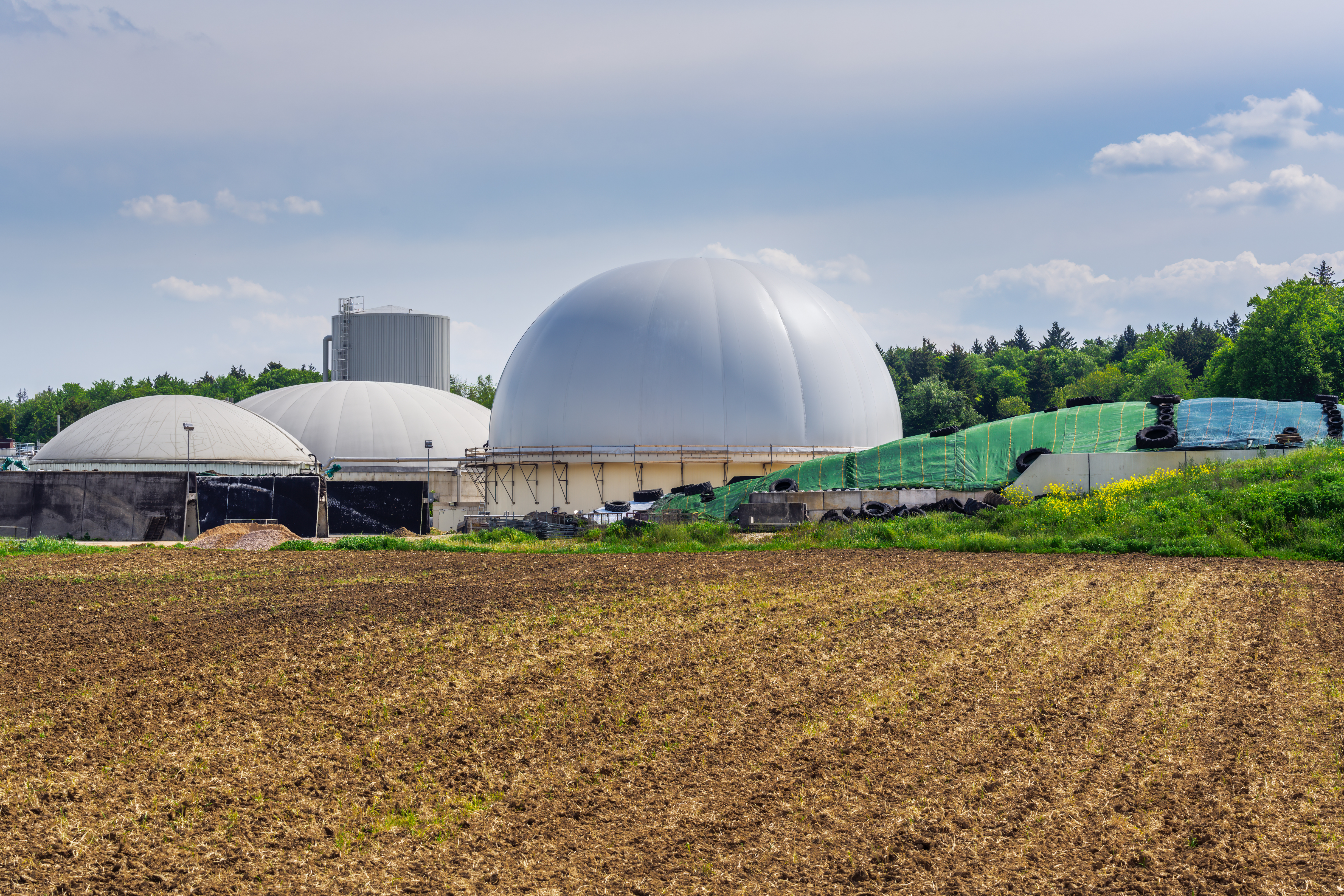 Mehrere Fermenterkuppeln einer Biogasanlage neben einem Acker