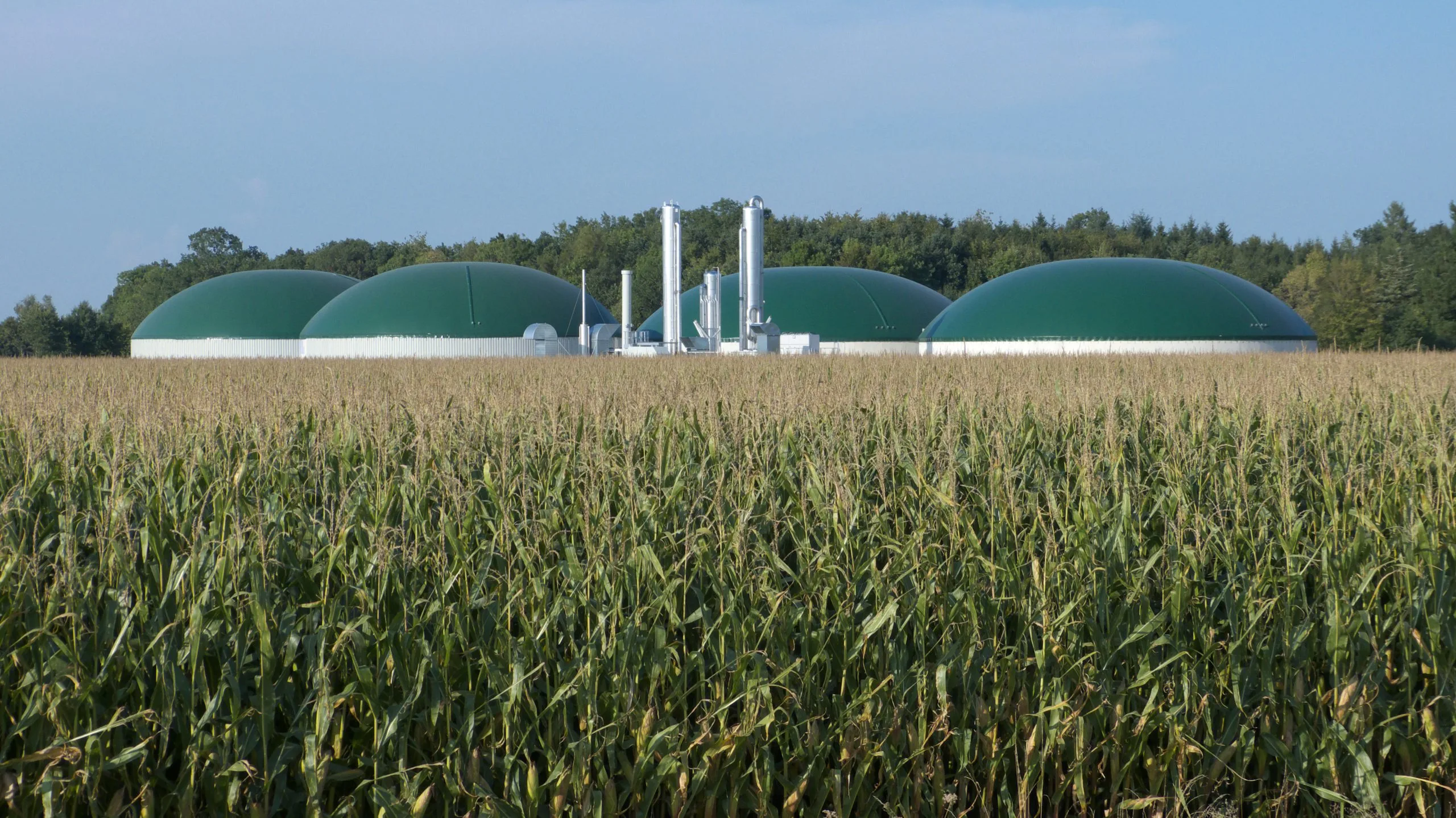 Landwirtschaftliche Biogasanlage in Bayern